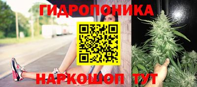 сатива Новодвинск