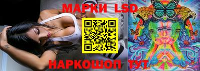 сатива Новодвинск