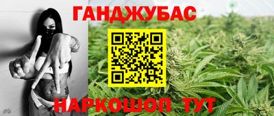 сатива Новодвинск