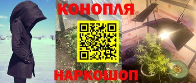 мдпв Новокубанск