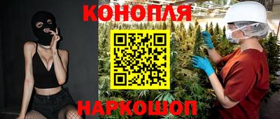 сатива Новодвинск